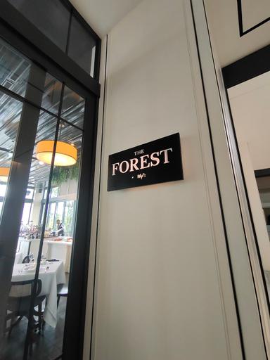 THE FOREST AT THE VERANDA