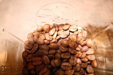 FORTUNATE COFFEE GANDHI